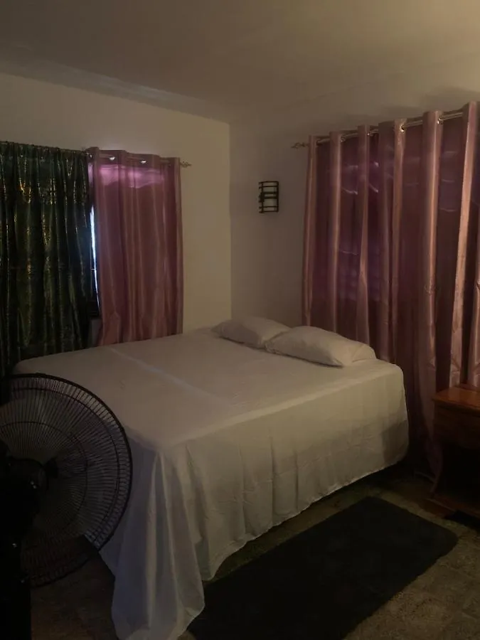Skipper'S Beach Villa Negril Guest house